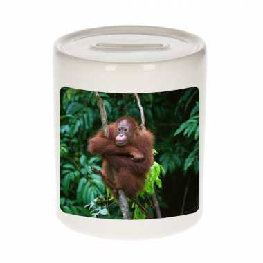 Dieren foto spaarpot orang oetan 9 cm - apen spaarpotten jongens en meisjes