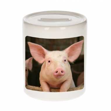 Dieren foto spaarpot varken 9 cm - varkens spaarpotten jongens en meisjes