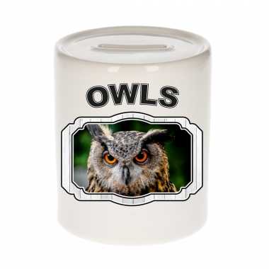 Dieren uil spaarpot - owls/ uilen spaarpotten kinderen 9 cm