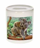 Dieren foto spaarpot koala 9 cm koalaberen spaarpotten jongens en meisjes