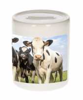 Dieren foto spaarpot koe 9 cm nederlandse koeien spaarpotten jongens en meisjes