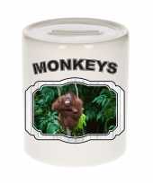 Dieren orang oetan spaarpot monkeys apen spaarpotten kinderen 9 cm